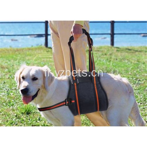 Harnais pour chien réversible confortable et réglable facile à nettoyer